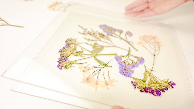 Framed Pressed Flowers DIY