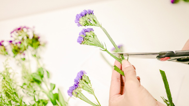 Framed Pressed Flowers DIY