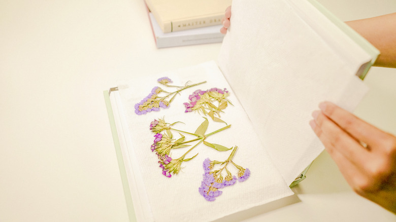 Framed Pressed Flowers DIY