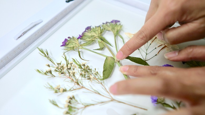 Framed Pressed Flowers DIY