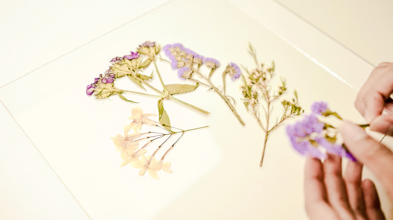 Framed Pressed Flowers DIY