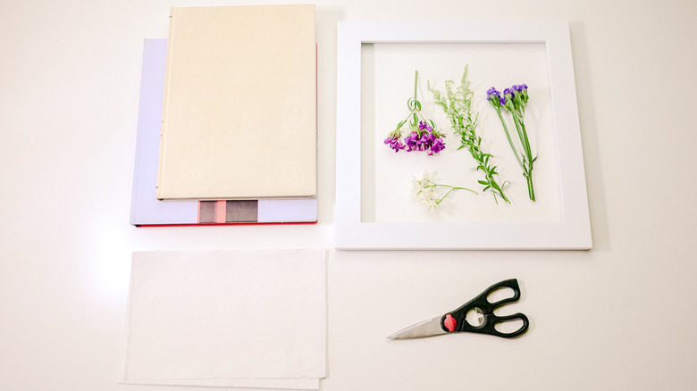 Framed Pressed Flowers DIY