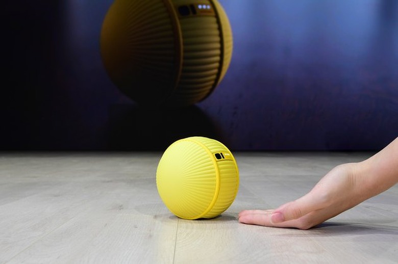 person with hand outstretched on floor towards yellow ball