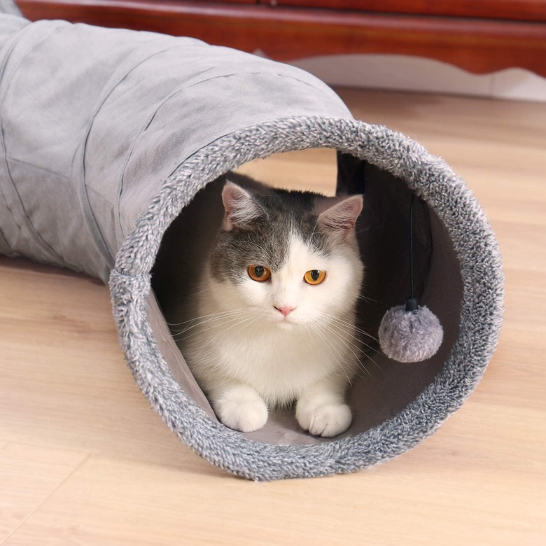 cat tunnel