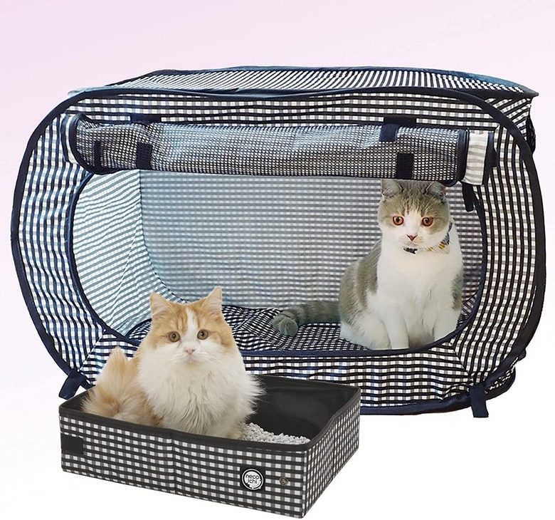 cat gingham tent