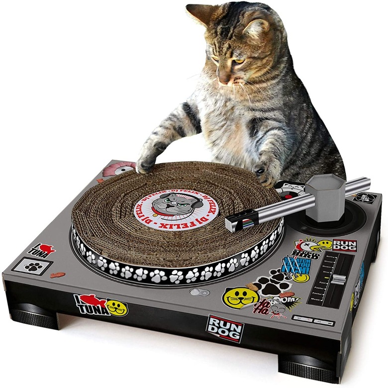dj cat scratcher