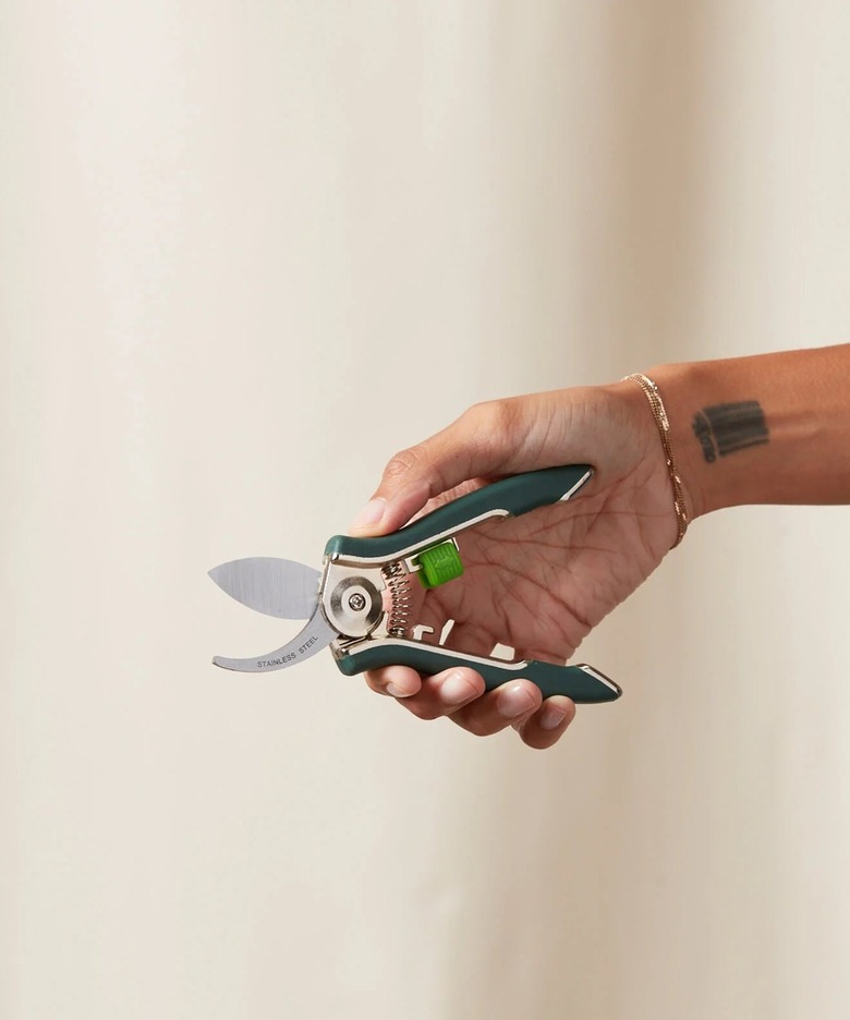 forest green stainless steel pruners from bloomscape
