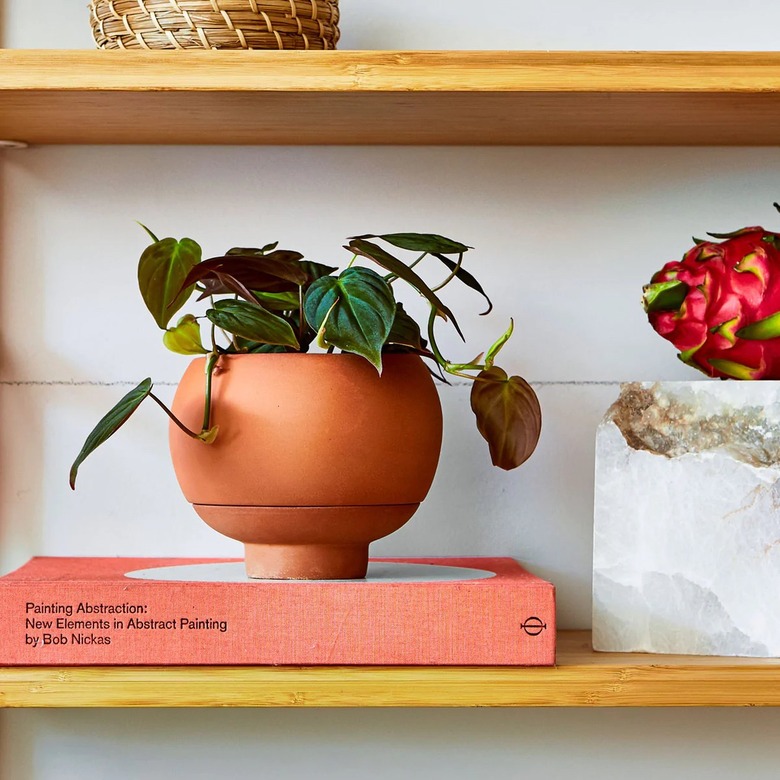 Greenery Unlimited Sutton 15 Ceramic Self-Watering Pot