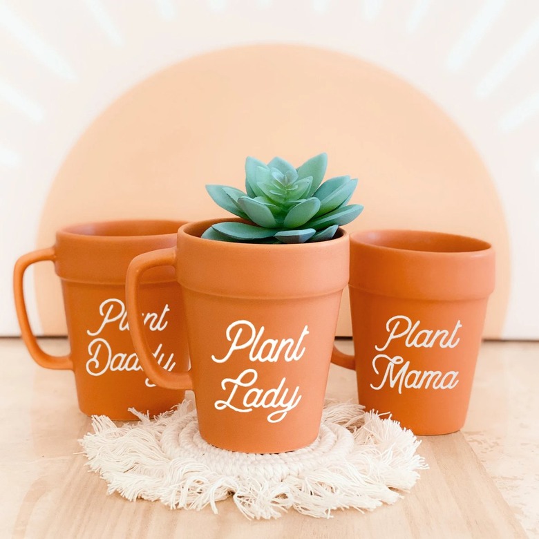 Mod Party Terra Cotta Planter Mug
