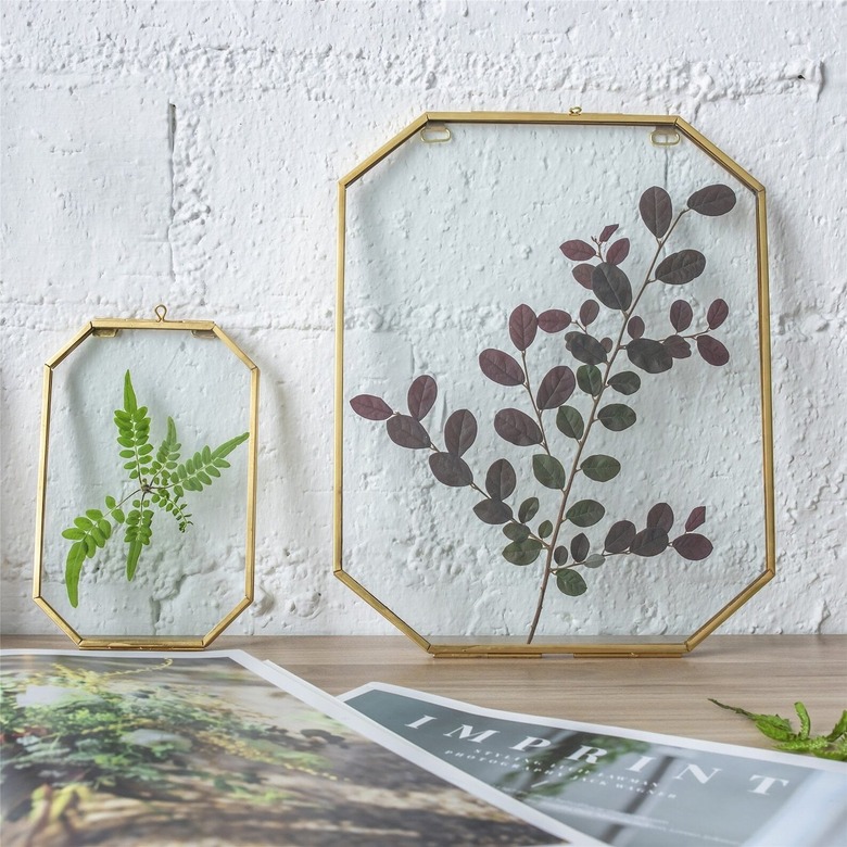 Two NCYP Garden frames displaying dried flowers and plants.