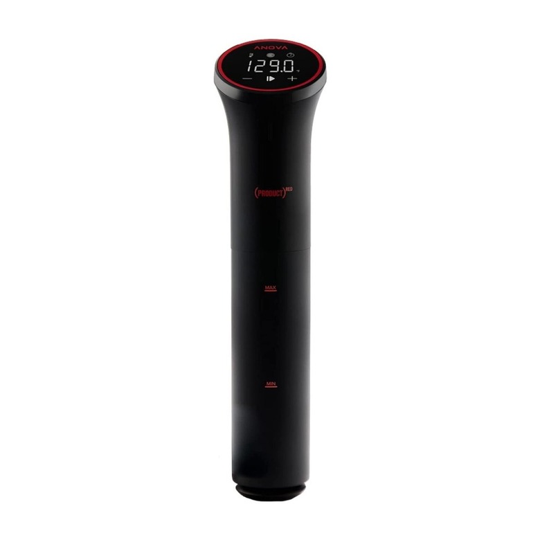 Anova Culinary ANOVAᴿᴱᴰ Precision Cooker Nano