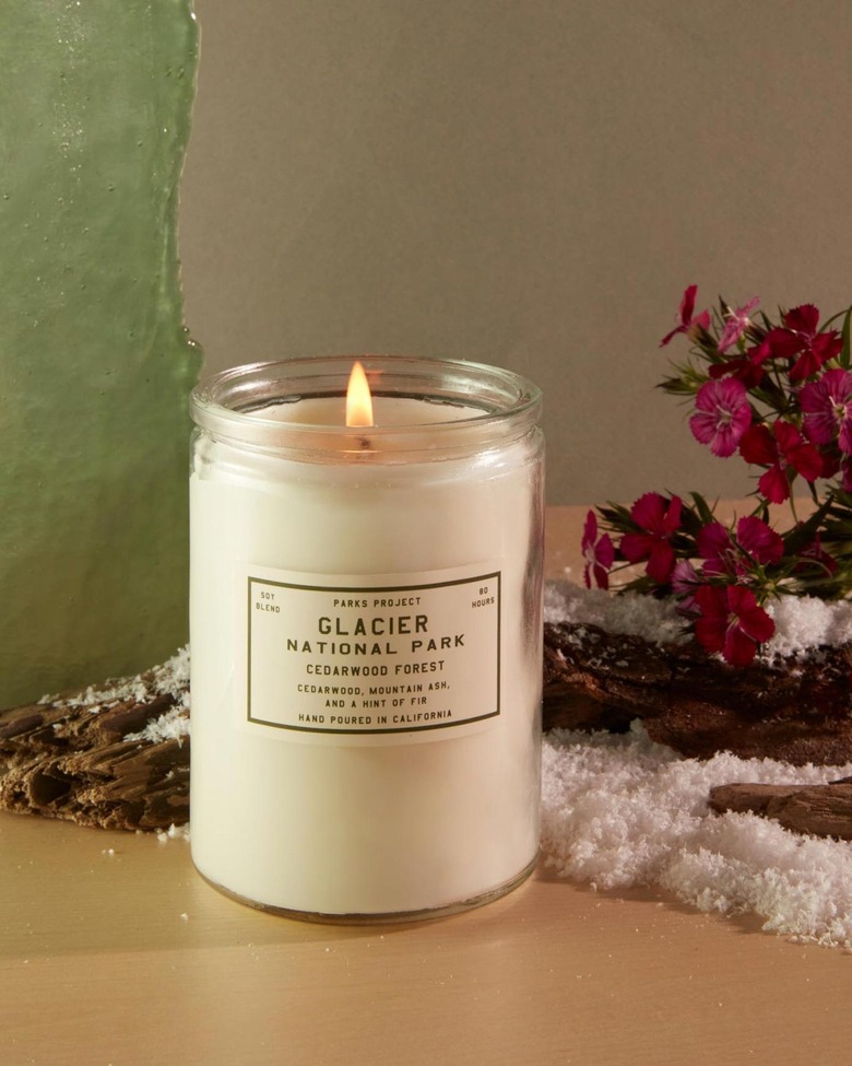 Park Project Glacier Cedarwood Forest Candle