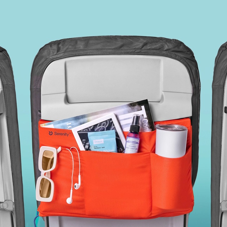 tray organizer for plane