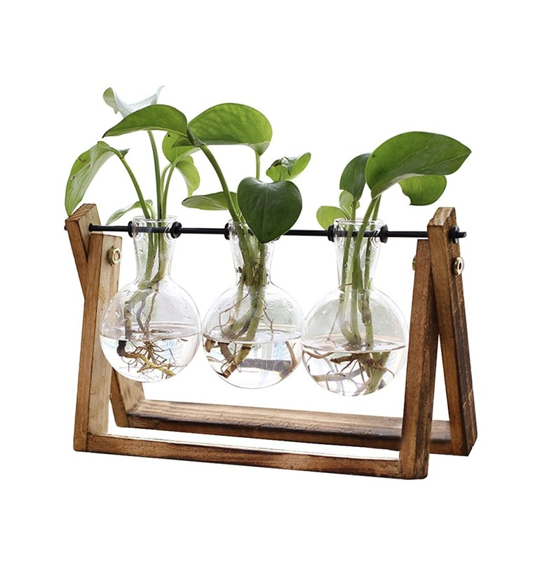 XXXFLOWER Plant Terrarium With Wooden Stand