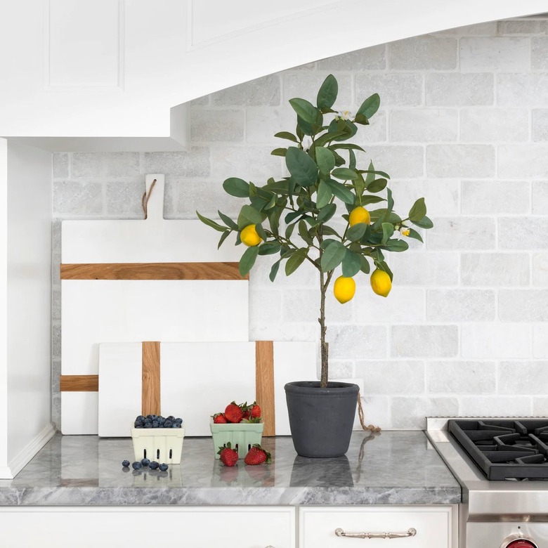 Brooke & Lou giving tuesday