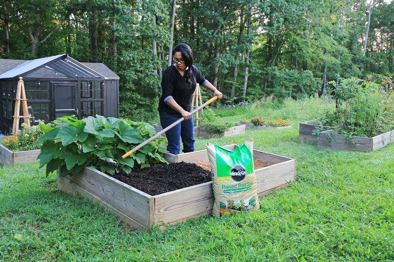 planting fall vegetable garden