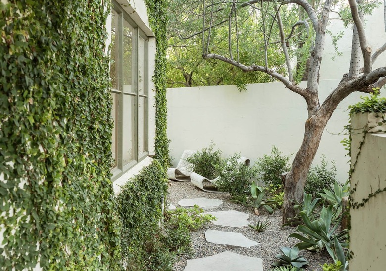 narrow patio with irregular paver walkway