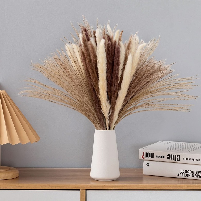 Dried pampas grass