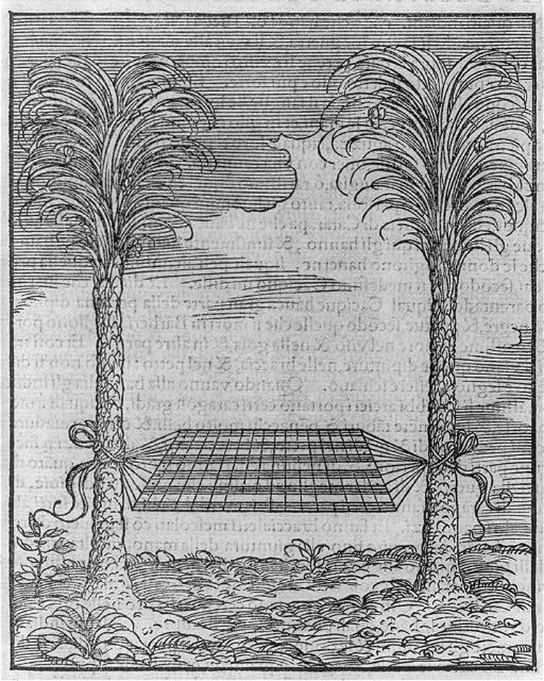 A 1556 hammock illustration in Giovanni Battista Ramusio's Le Navigationi al Mondo Nuovo