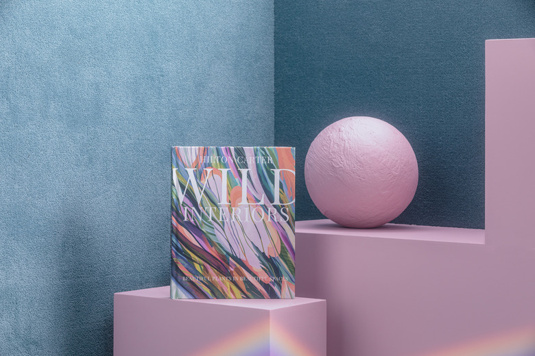 Wild Interiors by Hilton Carter