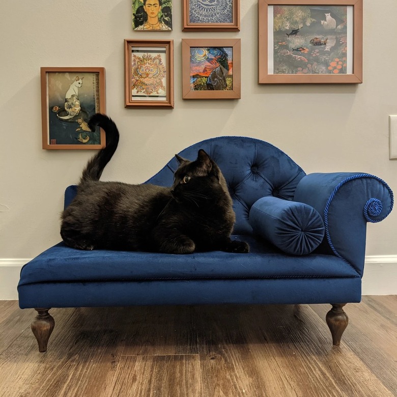 Sofa For Pets Chaise Lounge Pet Sofa