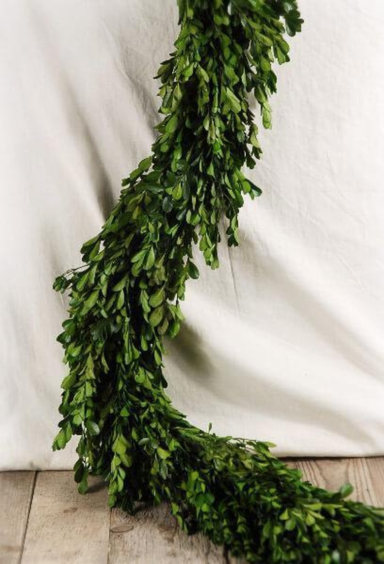 preserved boxwood garland