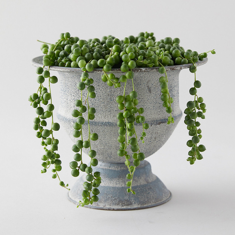 String of pearls in gray goblet-like vase