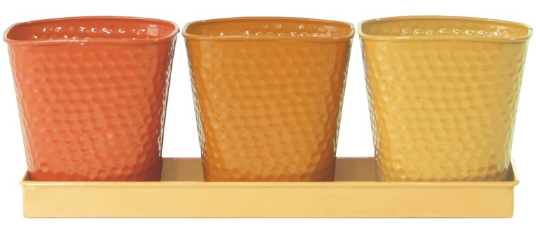 amazon herb planters