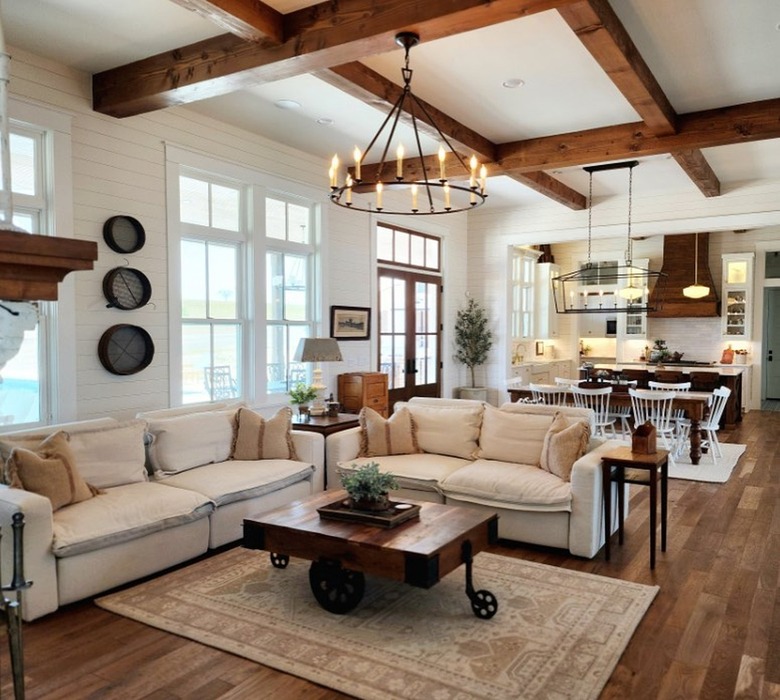 homebody in living room