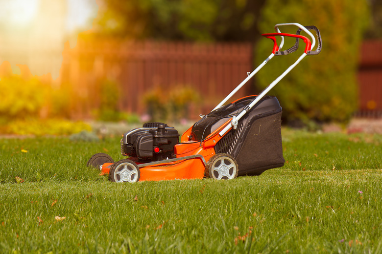 Lawn mower in the garden