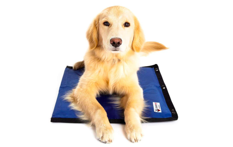 CoolerDog Dog Cooling Pad