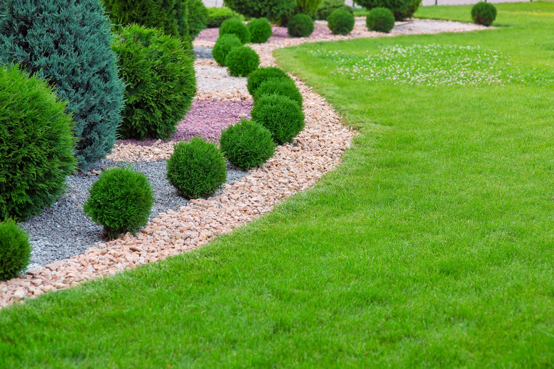 Landscape bed of garden with wave ornamental growth cypress bushes gravel mulch by color rock way on a day spring park with green lawn meadow