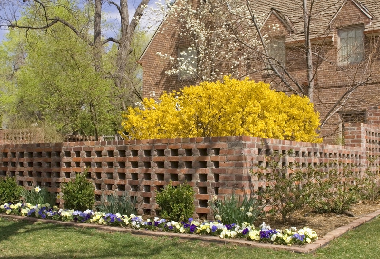 Uptown Mansion in Early Spring