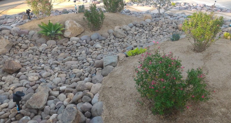 Xeriscaped Front Yard with Dry Creek Bed and Solar Lighting