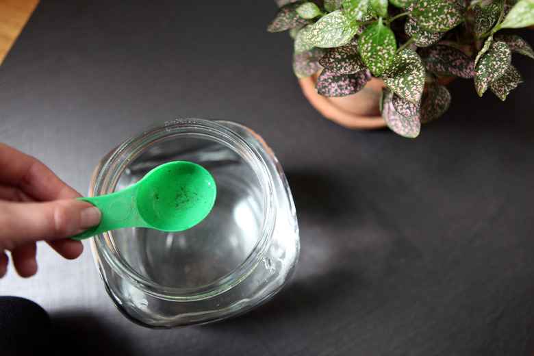 How to Care for a Polka Dot Plant