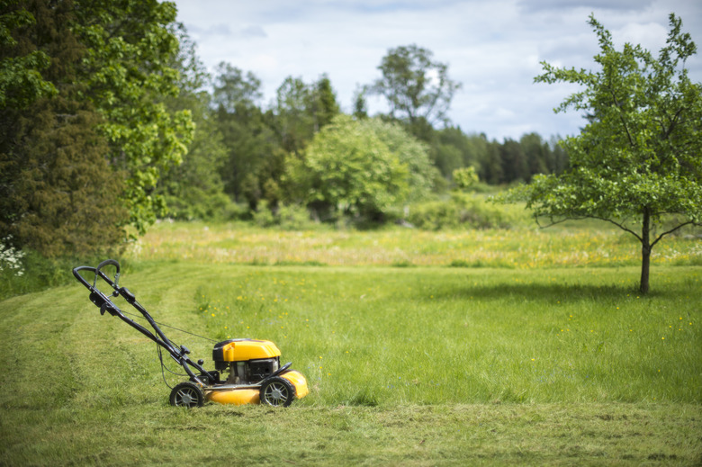 Lawn mower in garden