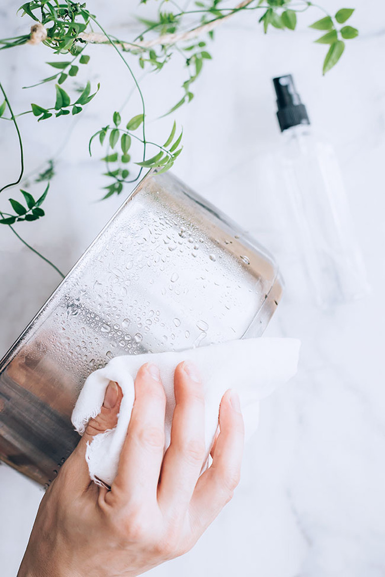 DIY stainless steel cleaner