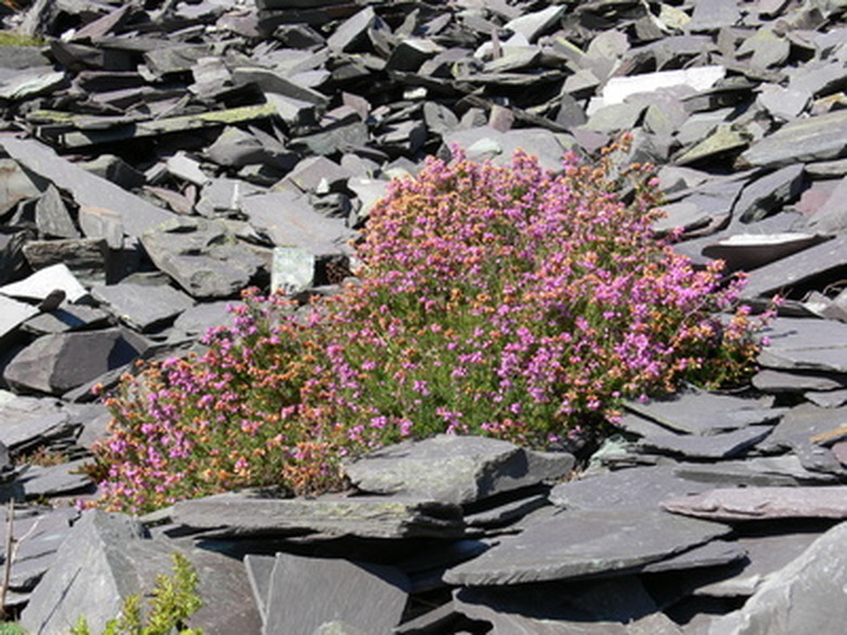 How to Clean Unsealed Slate Tile Floors Hunker
