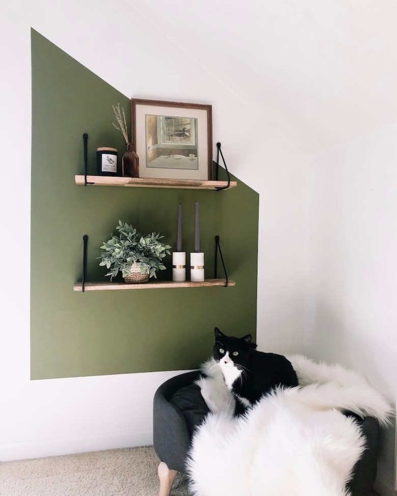 green accent wall to highlight shelving
