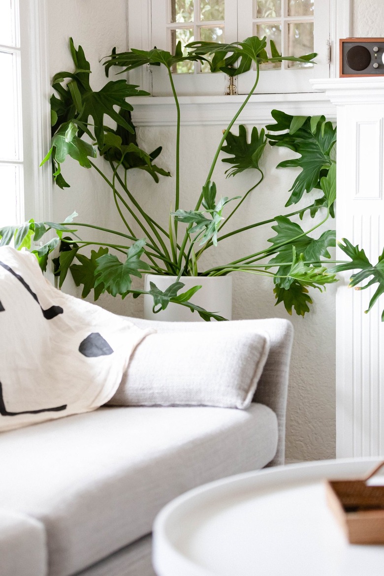 A minimalist living room with white walls