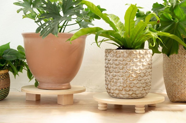 Houseplants on wood plant risers