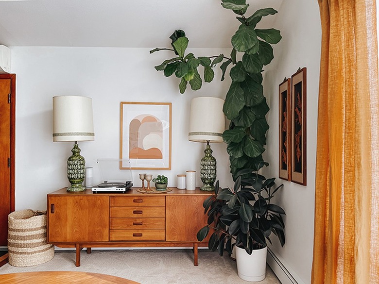 Fiddle Leaf Fig plant with a wood sideboard