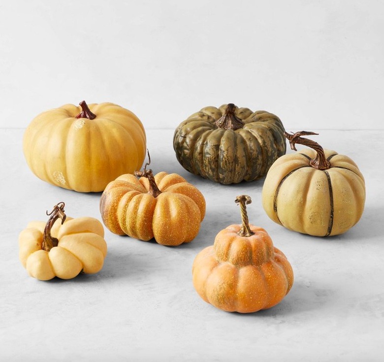 Williams Sonoma French Pumpkin Collection