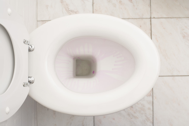 How to Get Rid of a Severely Stained Toilet Bowl Hunker