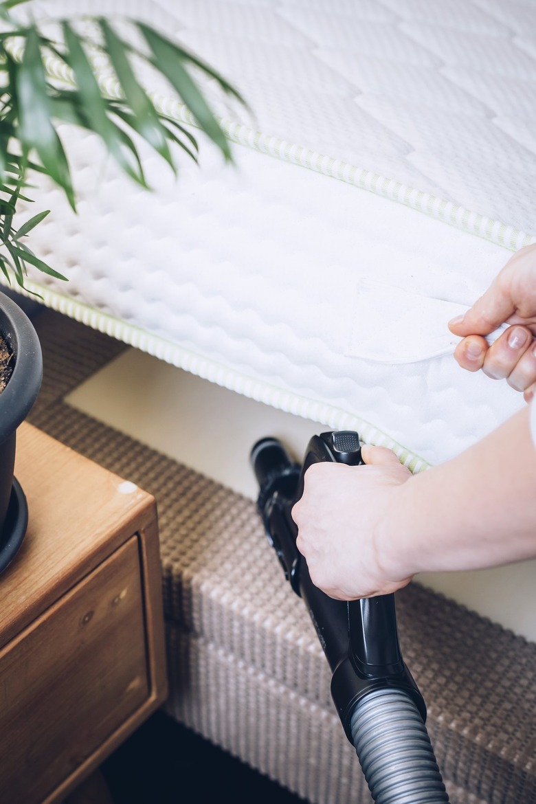 Hand lifting mattress and vacuuming between mattress and box frame next to side table with medium-sized potted plant