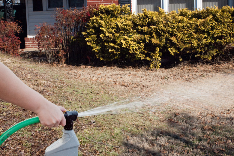 A person spraying a garden sprayer on their lawn