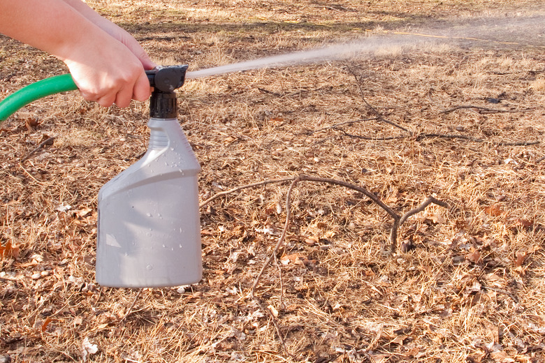 Hands spraying dead lawn with a garden sprayer