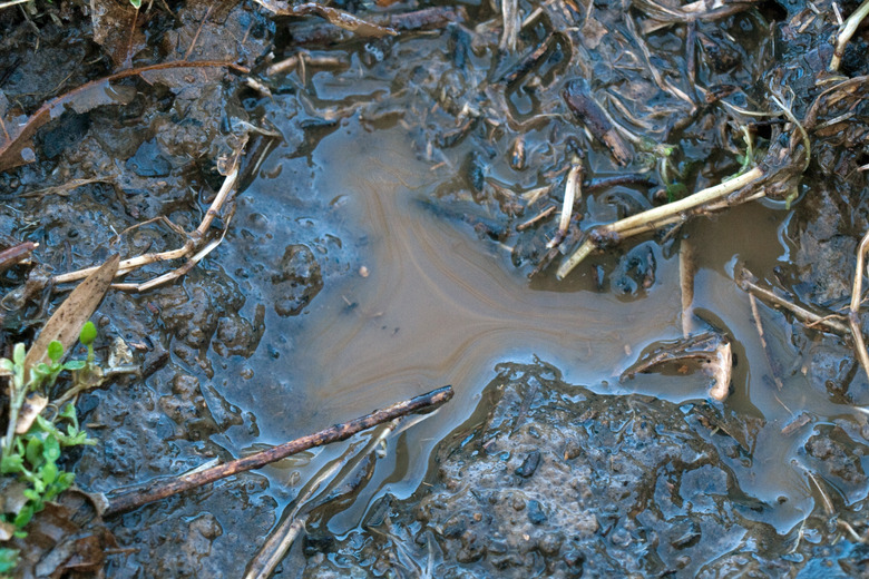A molehill filled with water and dirt