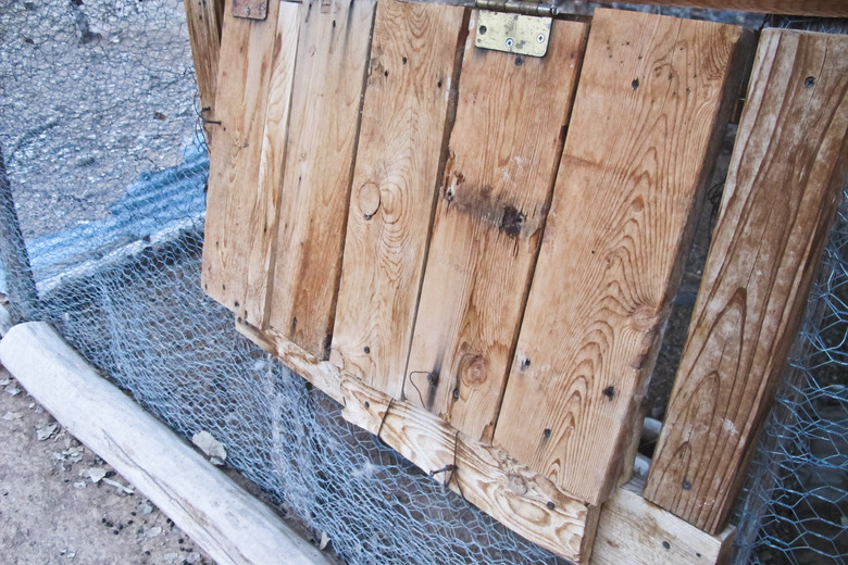 How to Get Rid of Rabbits Under Sheds Hunker