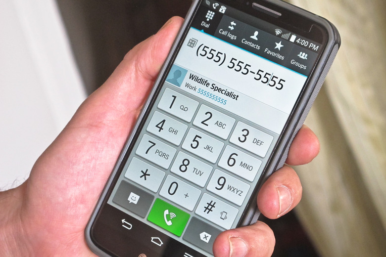 How to Get Rid of Rabbits Under Sheds Hunker